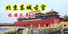 夫妻性生活录像中日韩中国北京-东城古宫旅游风景区